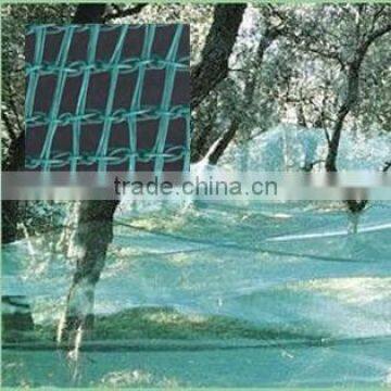 agricultural Olive Net / fruit Harvest Nets / Collecting Net with 5% UV