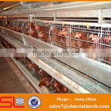 Broiler Poultry Farm House Design / Chicken Egg Poultry Farm