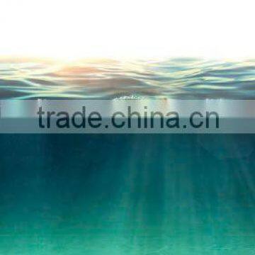 2016 New Prefab Shower Enclosures Ocean Sunrise 3D Digital Printing Glass Frameless and Accessories Available Villa Shower Room photo-2