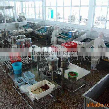 Automatic Continuous Vacuum Packing Machine Belt Type photo-3