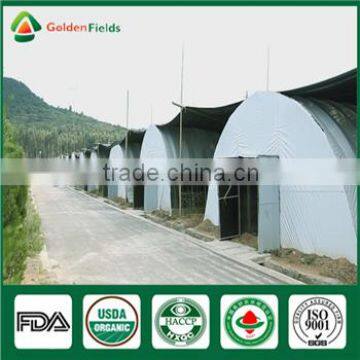 China Supplier Market Price Shitake Mushroom Spawn Bag Log Mycelium Growing Kit photo-6