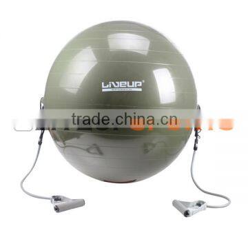 gym ball with expander