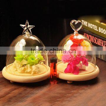 clear glass bell cover dome cover glass crafts customize