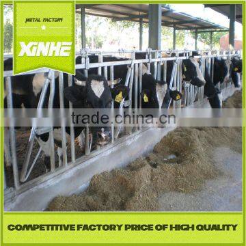 Hot dip galvanised Cattle headlock for dairy farms,livestock farm