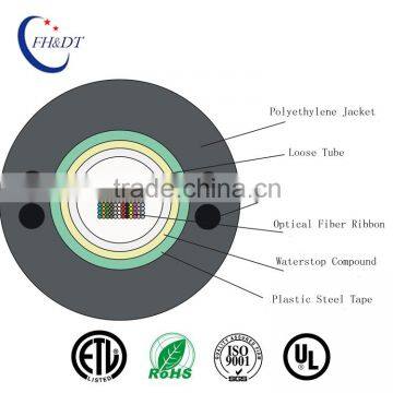 Made in China Optical Fiber Cable GYDXTW