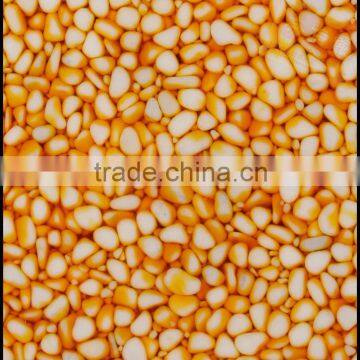 Translucent River Stone Wall Decorative Stone