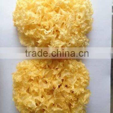 DRIED WHITE FUNGUS