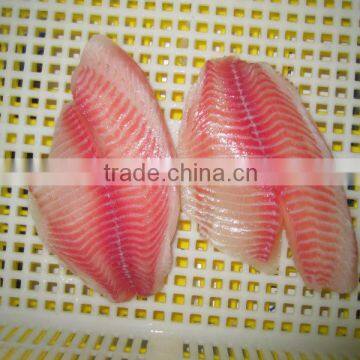 FROZEN TILAPIA FILLET
