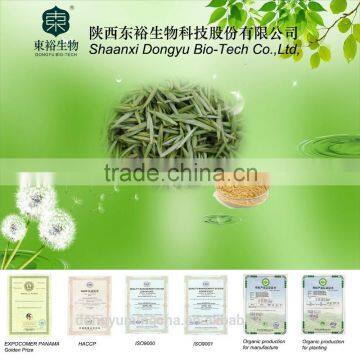 Natural organic Green Tea Extract tea polyphenols 95% with free samples