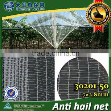 Transparent Leno Weaving hail netting , 30201-50 7x2.8mm