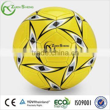 Zhensheng Advertising Soccer Ball Promotion