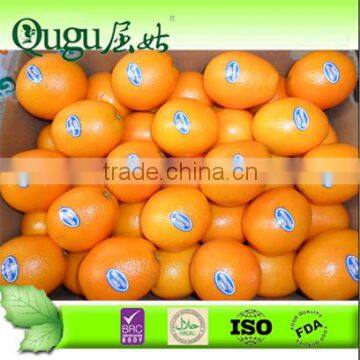 2014 New crops navel orange price