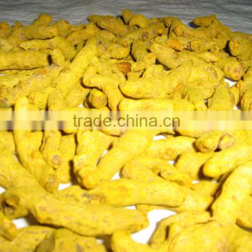 Turmeric finger supplier