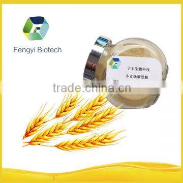 Ingredient Wheat Peptides(Health Food)