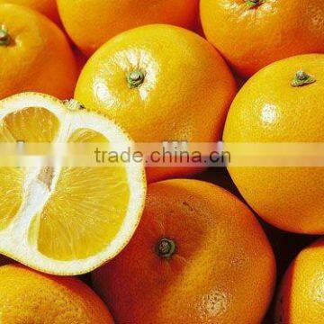 grapefruit orange sac for juice