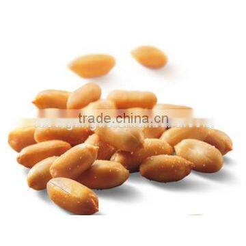 Wholesale Crispy Chilli Flavor Coated Spicy Peanuts Spicy Fried Peanut Flavor Peanut OEM Service for Crispy Spicy Peanuts photo-4