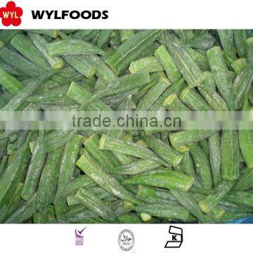 IQF china price for frozen okra hot sales 2015