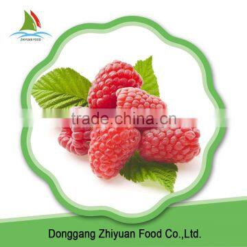 Chinese IQF frozen raspberry crumble in good quality in bulk