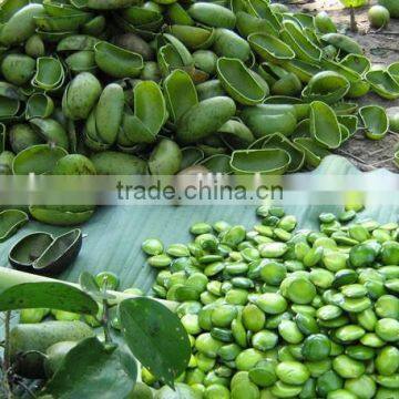 CAS No. 56-69-9 Griffonia Simplicifolia Seed Extract P.E. 98% 5-HTP photo-2