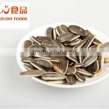 organic sunflower kernels in shell