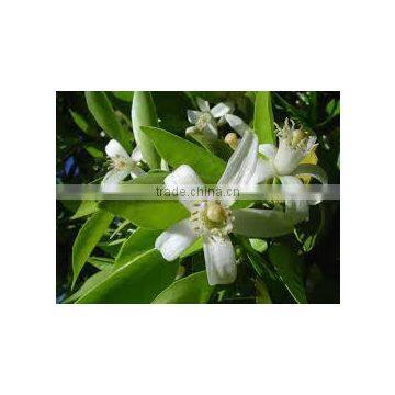 India's No. 1 Neroli Essential Oil