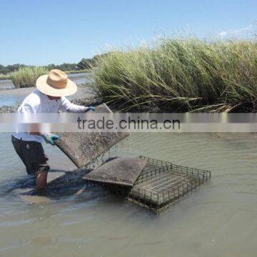 Japan Market Use Aquiculture Oyster Mesh Bag China Factory photo-3