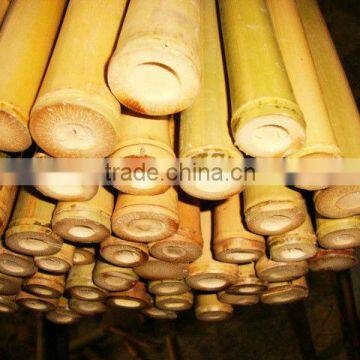 Bamboo garden pole manufacturer.