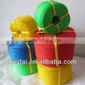 PP/PE Twinsted New Rope Monofilament photo-2