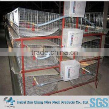 High Quality Lowest Price Chicken Wire Mesh / Bird Cage Wire Mesh photo-2
