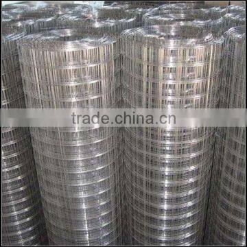 breeding welded wire mesh ,welded wire mesh,chicken duck goose welded wire mesh