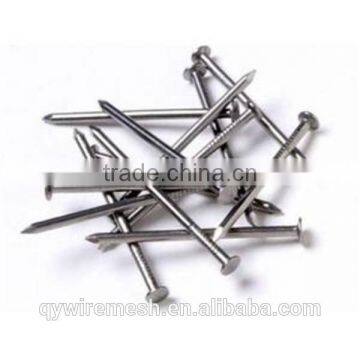 Building Common Wire Nail, Construction Common Nail Iron Nail Factory photo-2