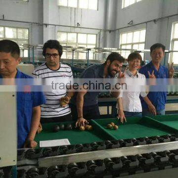 Fruit Sorting Machine/sorting Washing Machine photo-3
