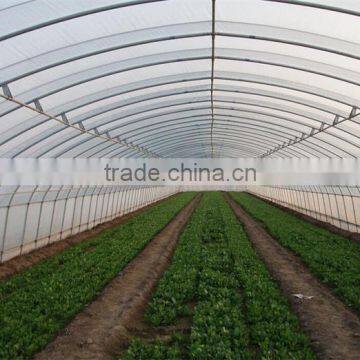 Low Cost Used Greenhouse Frames for Sale photo-4