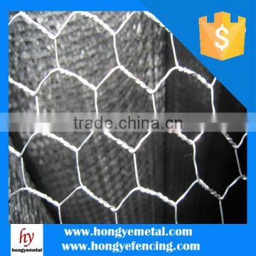 China Metal Hot Dipped Electro Galvanized Double Twisted Animal Cage Fence Hexagonal Wire Mesh Factory Price