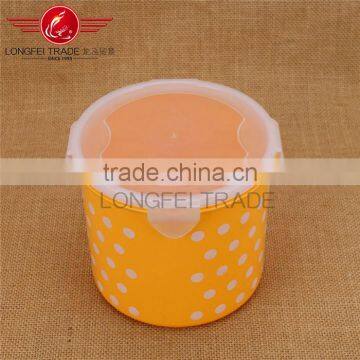 Eco-friendly Plastic Picnic Food Container Set Preserving Boxes/crisper photo-2