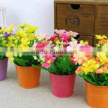 colorful mini buckets pails decorative