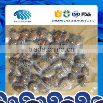 Frozen Vacuumed Short Necked Clam Cheap Pirce For Sale