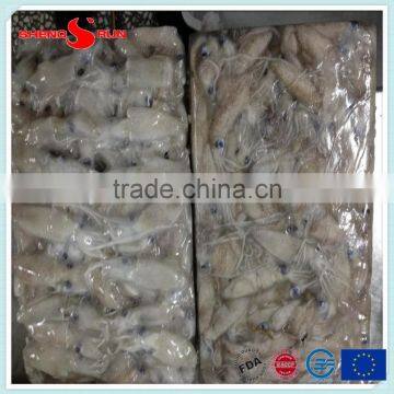 BQF Baby Squid Block Frozen photo-2