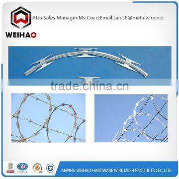 Bulgaria Salable Factory Selling Directly Razor Barbed Wire Razor Wire photo-4