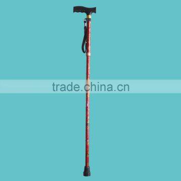 titanium walking stick