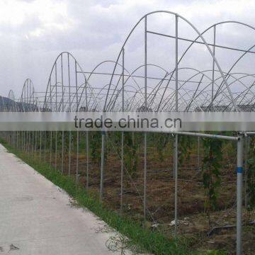 Agricultural Greenhouses For Soilless Hydroponics photo-2