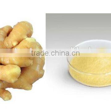 Instant Honey Ginger Drink 7gx20bags/box Honey Ginger Tea OEM photo-5