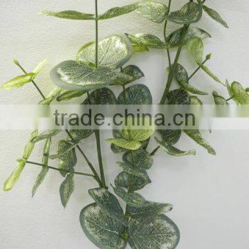 Foshan Wholesale Artificial Eucalyptus Green Plants for Interiors photo-4