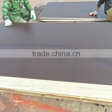18mm WBP glue plywood
