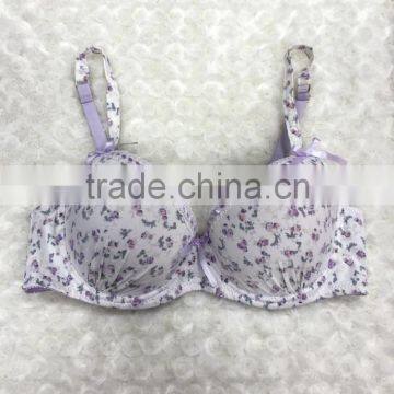 OEM Type Girl Range Bra and Brief Set With Push up Padded 2016 New Arrival photo-3