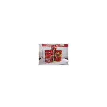 70g Canned Tomato Paste Tomato Concentrate