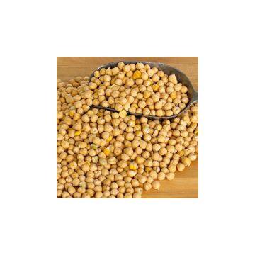 9mm Chickpeas with high quality FROM USA