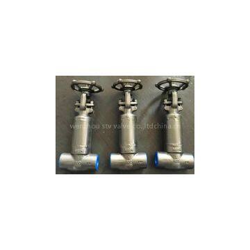 Welding Forged bellows gate valve