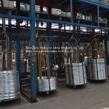 All Size Electro Galvanized Iron Wire photo-5