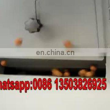 Taizy China Industrial Almond Shell Cracker Machine